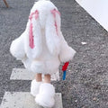 Cute Plush Rabbit Suit - plush